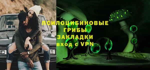 хмурый Алексеевка