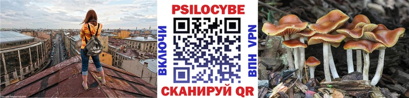 Псилоцибиновые грибы мухоморы  купить закладку  Сенгилей 